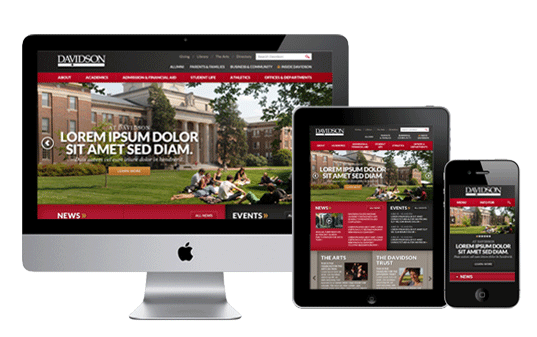 Sunny citrix website development